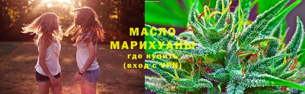 сатива Балахна